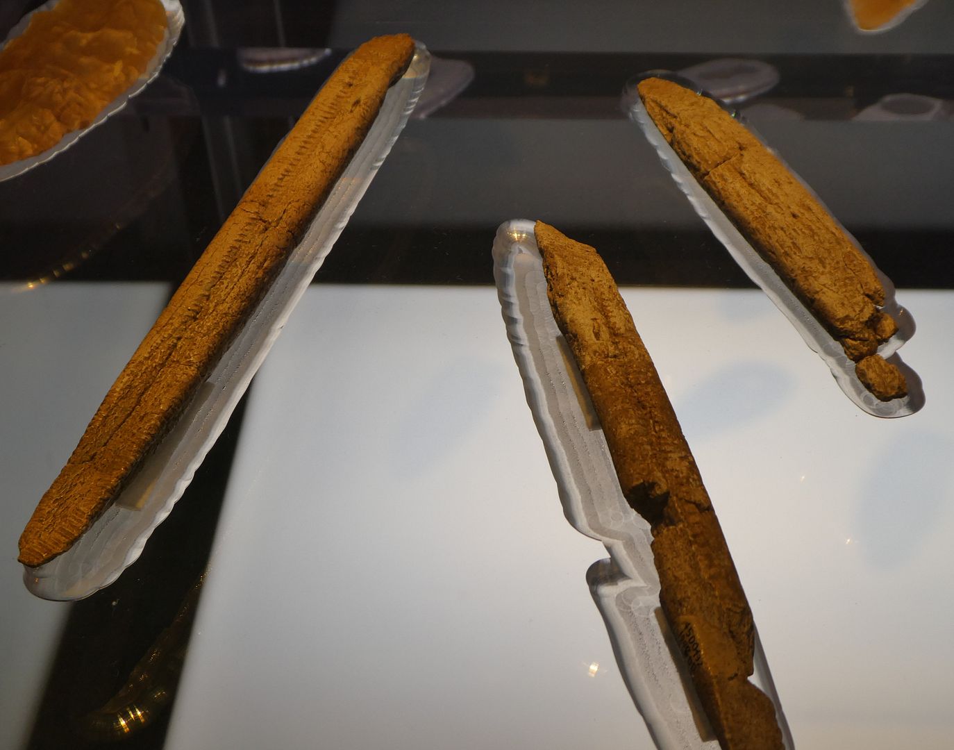 Ancient America The RicheyRoberts Clovis site (museum tour)